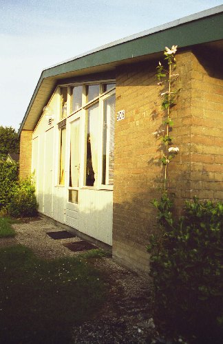 02.jpg