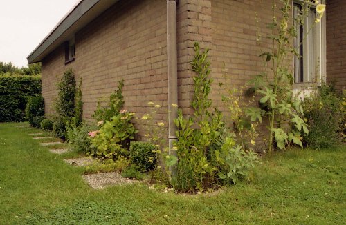 06.jpg