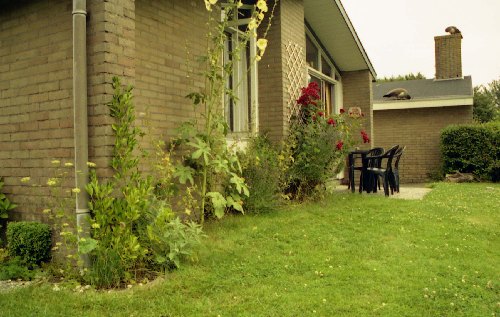 07.jpg