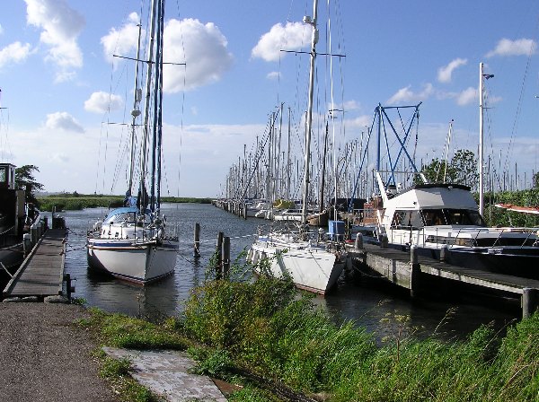 p8181430.jpg