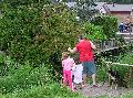 p8151349.jpg 600x448 124 KB p8151349.jpg