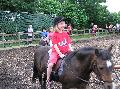 p8171419.jpg 600x448 107 KB p8171419.jpg