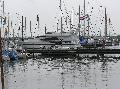 p8181429.jpg 600x448 82 KB p8181429.jpg