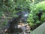 IMG_1859