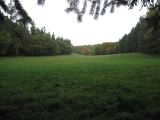 IMG_2615
