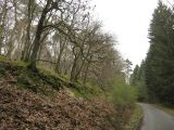 IMG_0764