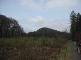 Mucher Wiesental