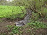 IMG_0749