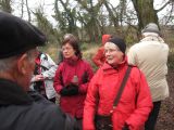 Grünkohlwanderung