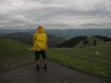 IMG_1237