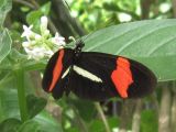 IMG_1034