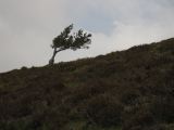 IMG_1183