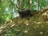 IMG_1612