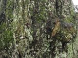 IMG_0279