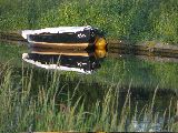 IMG_2843
