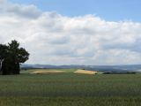 IMG_3106
