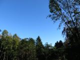 IMG_0091