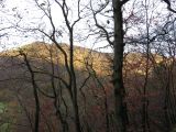 IMG_0417