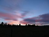 IMG_1337