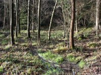 Das Wasser sucht sich seinen Weg