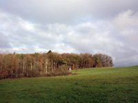 Weide vor Berg