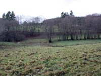 Wieder im Vischelbachtal