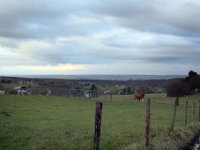 Schon wieder der Blick auf Merzbach ...